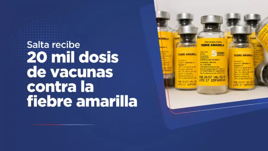 107966-salta-recibe-20-mil-dosis-de-vacunas-contra-la-fiebre-amarilla-tras-brote-detectado-en-bolivia