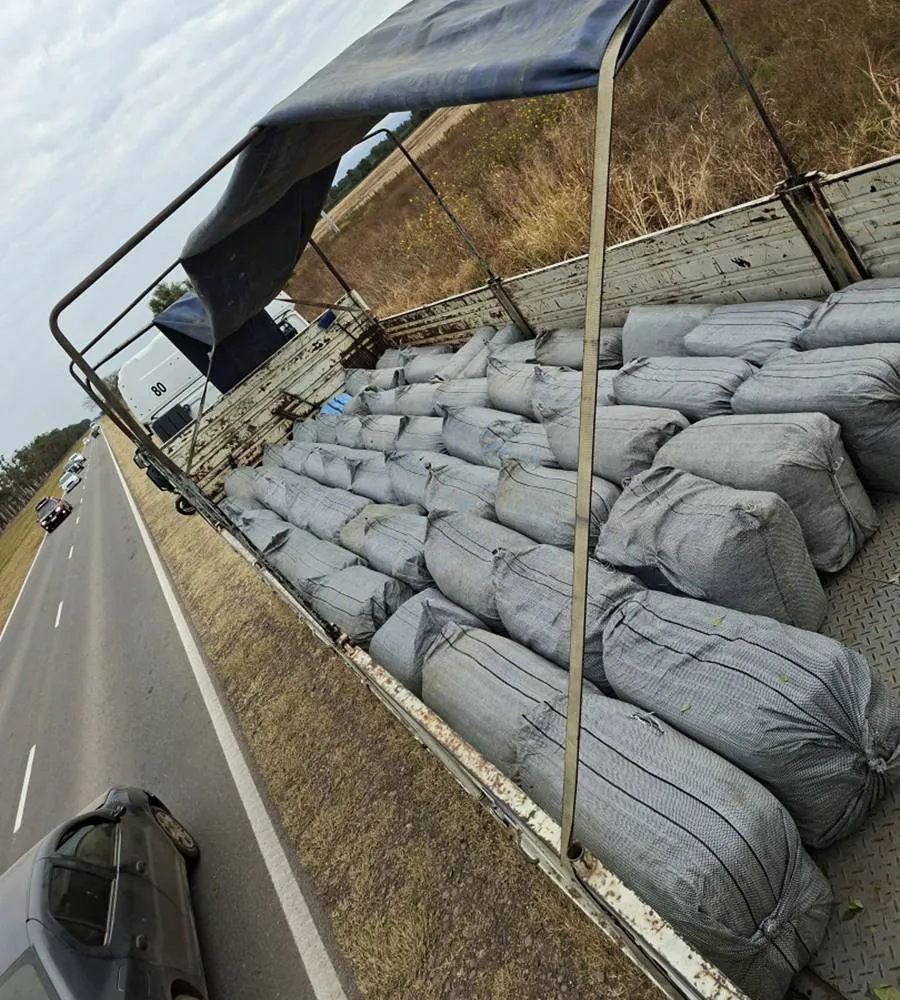 1.320_kg_hojas_de_coca_salta_1