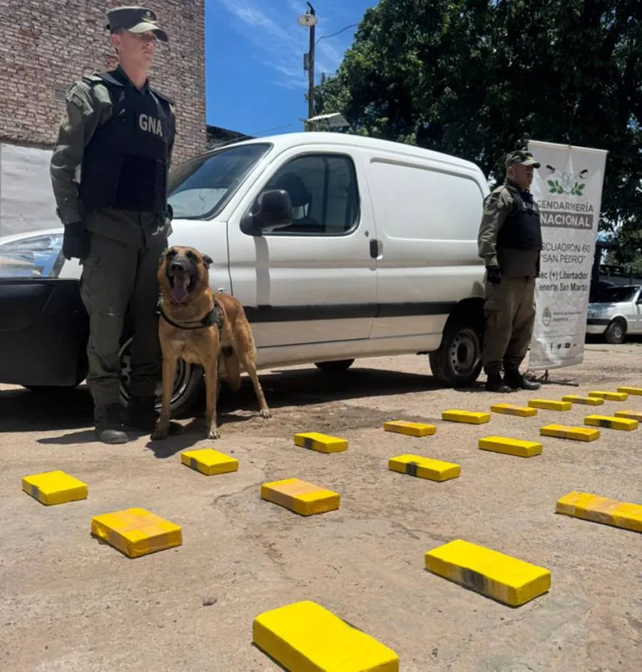 whatsapp_image_2025-12-10_at_10.56.05_am_1