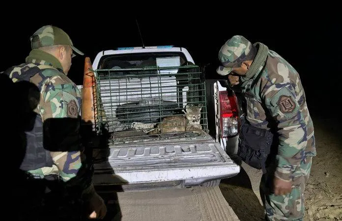 WhatsApp-Image-2025-08-18-at-8.49.02-AM-696x522