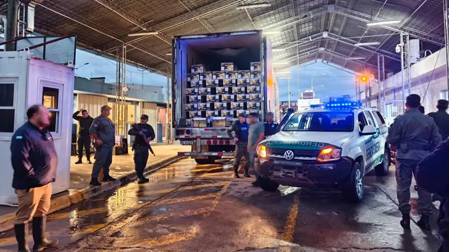 salta-50_kilos_cocaina-bananas