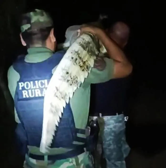 WhatsApp-Image-2026-01-17-at-11.39.10-696x910