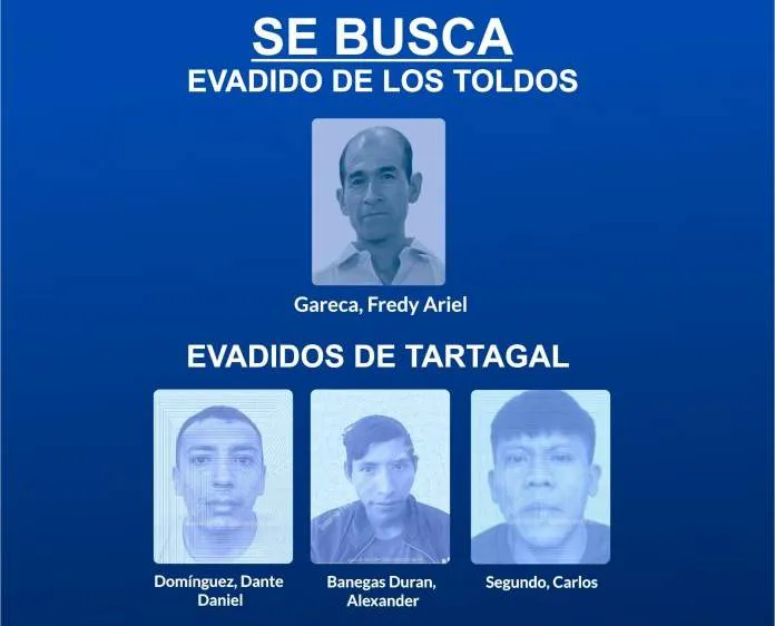 WhatsApp-Image-2025-06-10-at-2.51.37-PM-696x696