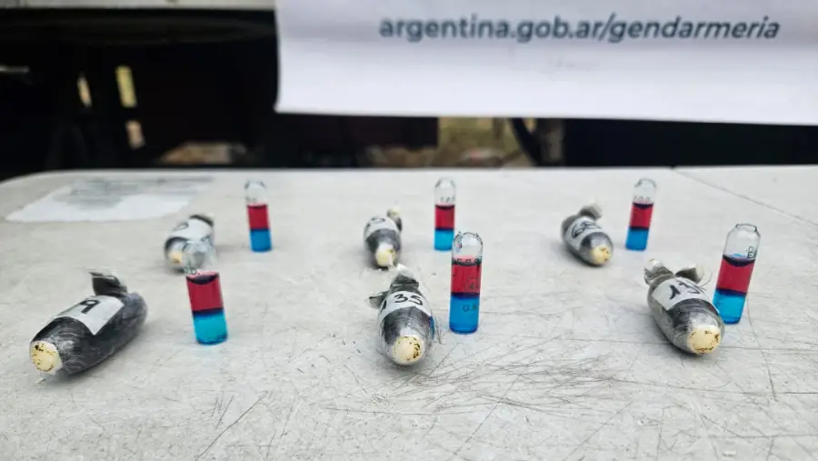gendarmes_escanearon_capsuleras_con_cocaina_tucuman_5