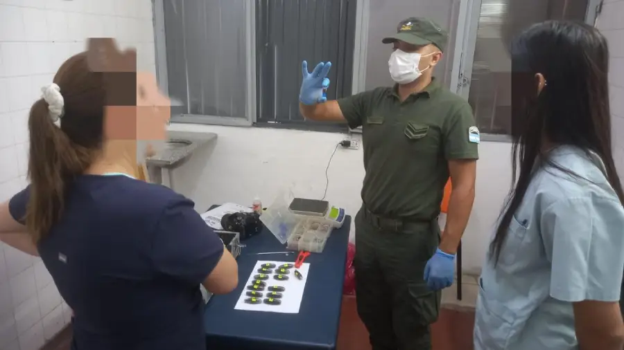 whatsapp_image_2026-02-27_at_16.08.21 (1)