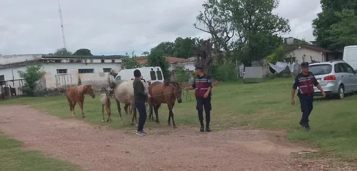 WhatsApp-Image-2026-01-10-at-16.40.56-1-696x335