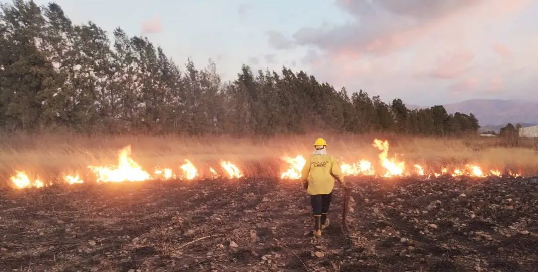 WhatsApp-Image-2025-08-01-at-10.19.15-AM-1-1068x804