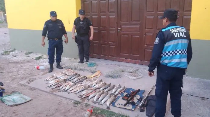 WhatsApp-Image-2025-11-15-at-21.26.18-696x389