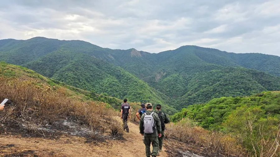 mpfs.causa_.cordeyro.peritaje.cerro_-1536x864