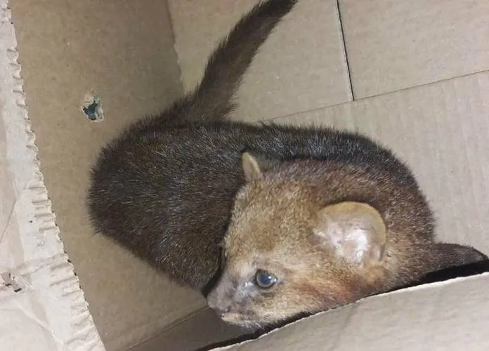 WhatsApp-Image-2025-10-02-at-10.41.56-AM-696x558