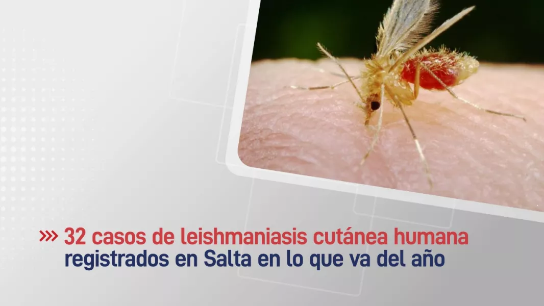 104359-suman-32-los-casos-de-leishmaniasis-cutanea-humana-en-la-provincia