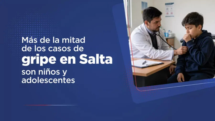 109391-mas-de-la-mitad-de-los-casos-de-gripe-en-salta-son-ninios-y-adolescentes