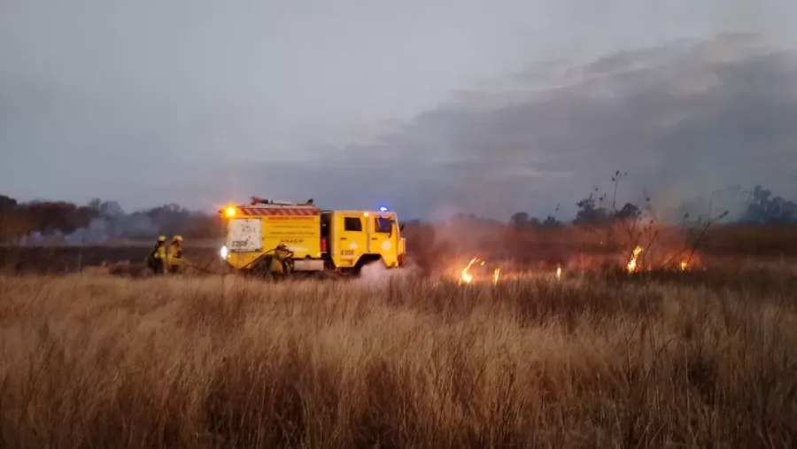 109262-intervenciones-por-incendios-de-pastizales-en-el-valle-de-lerma