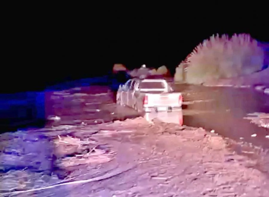 en_jujuy_800_kilos_de_hojas_de_coca_en_estado_natural_1_2