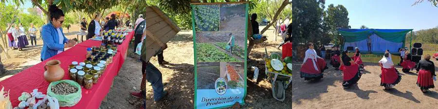 FeriaCañaAzucarMazza2NW