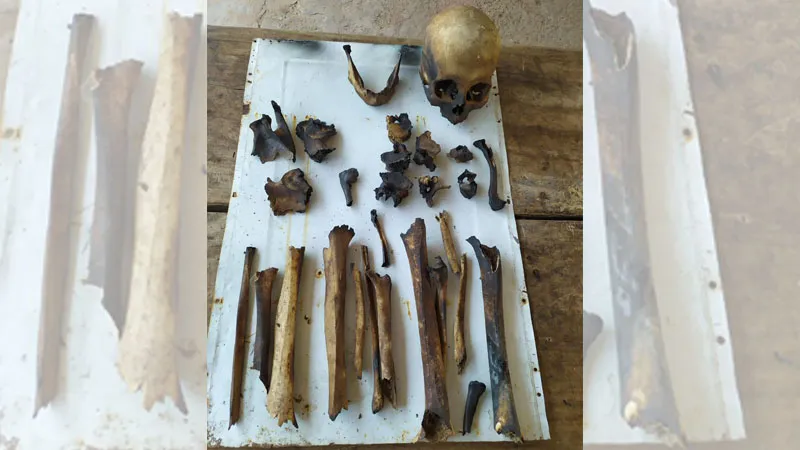 RestosOsesosLasLajitasNW