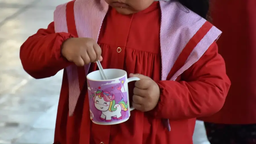 106507-85000-chicos-de-la-primaria-recibiran-la-copa-de-leche-desde-el-primer-dia-de-clases