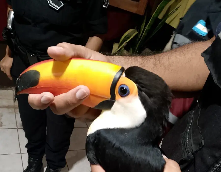 655958679_1473580894138164_5810405097841038933_n