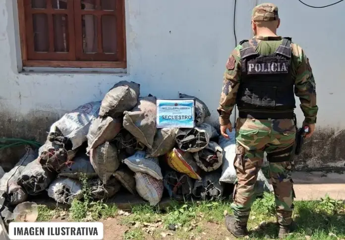 WhatsApp-Image-2026-01-31-at-17.24.16-696x521