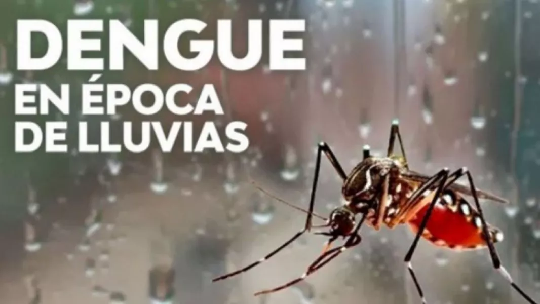 104830-pautas-para-prevenir-el-dengue-durante-el-periodo-de-lluvias-20251107163504