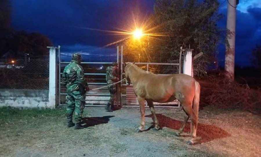 WhatsApp-Image-2025-06-05-at-10.18.31-PM-1068x804