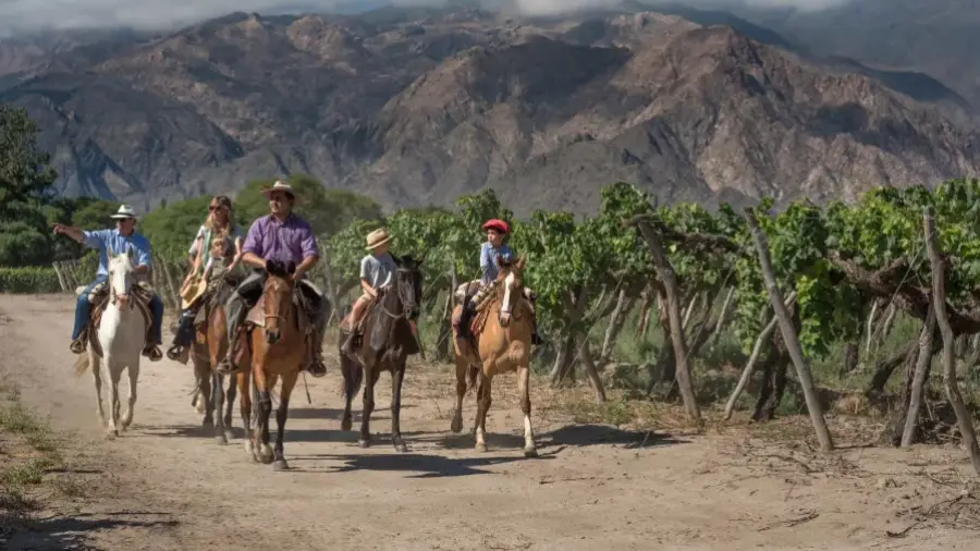 21784-salta-registro-picos-de-ocupacion-turistica-durante-enero