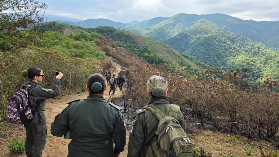 mpfs.causa_.cordeyro.pericias-1536x864