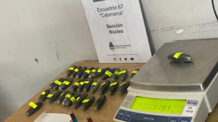 whatsapp_image_2026-02-27_at_16.08.21_1