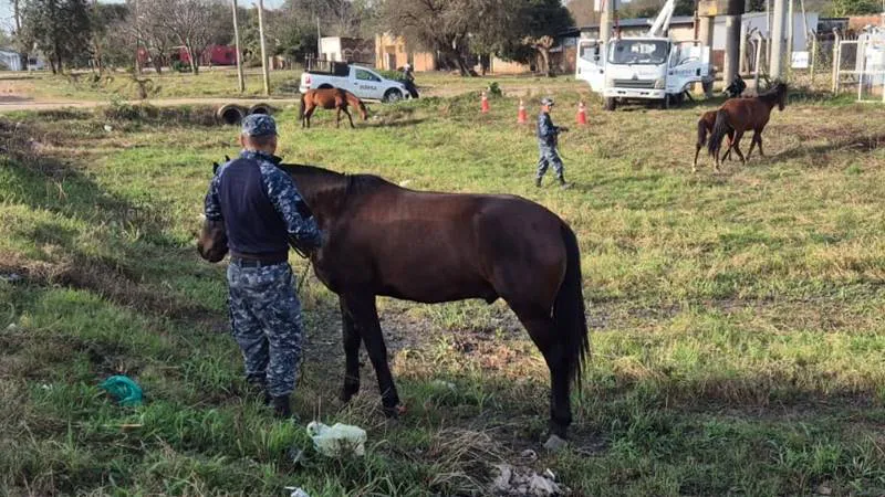 WhatsApp-Image-2025-07-31-at-7.46.48-PM