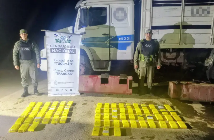 71_kilos_cocaina_salta_8