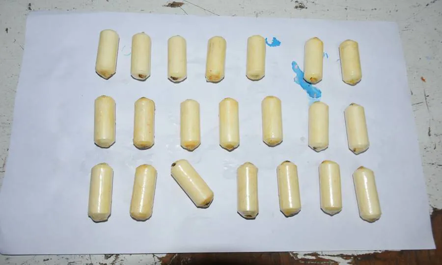 whatsapp_image_2025-08-06_at_13.34.20