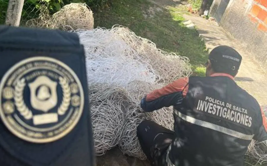 WhatsApp-Image-2025-03-12-at-6.45.37-PM-1-494x420