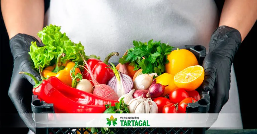 WEB-TARTAGAL-CURSO-DE-MANIPULACION-DE-ALIMENTOS