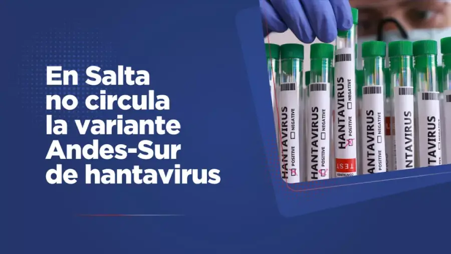 107765-en-salta-no-circula-la-variante-andes-sur-de-hantavirus