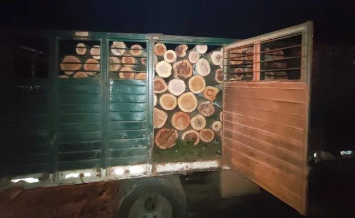 WhatsApp-Image-2025-06-06-at-10.20.35-AM-696x523