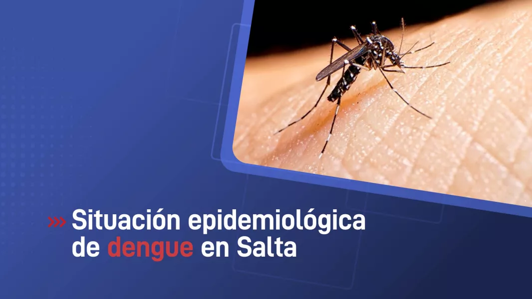 100672-se-confirmaron-seis-nuevos-casos-de-dengue-en-la-provincia