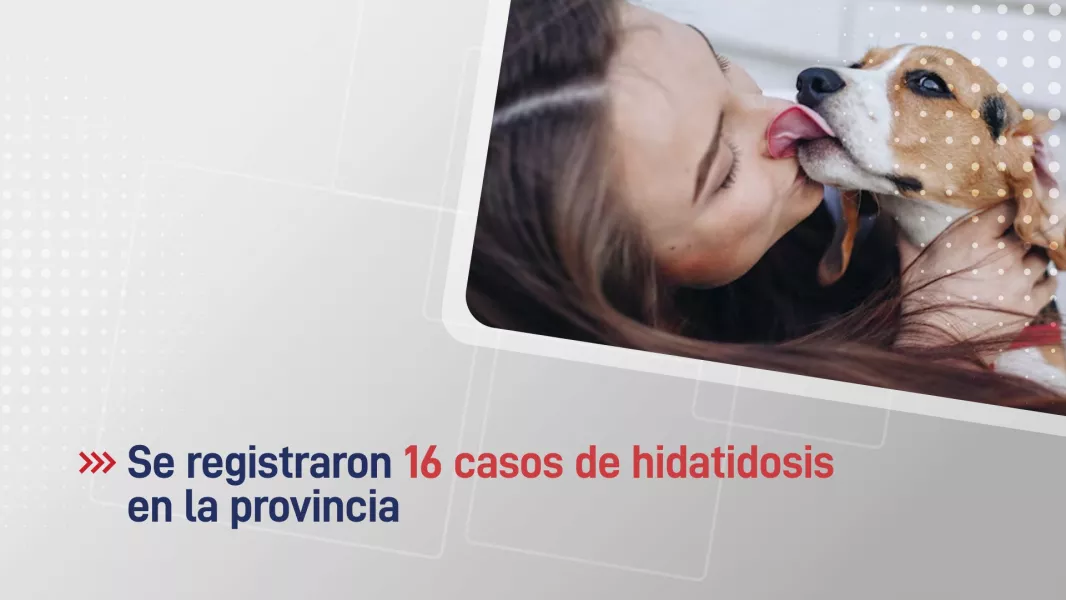 102197-ya-se-registraron-16-casos-de-hidatidosis-en-la-provincia