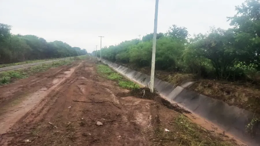 25424-limpieza-de-canales-y-del-rio-ancho-en-cerrillos