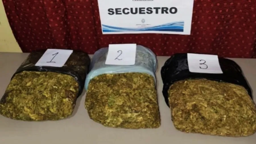 Secuestraron cerca de 12 mil dosis de marihuana en Capital