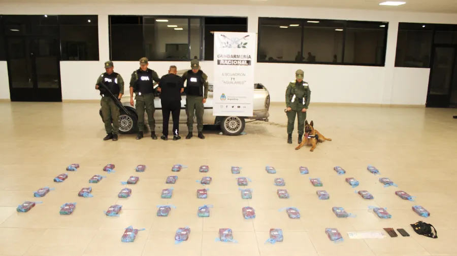 modifico_la_estructura_que_divide_la_cabina_y_la_caja_de_una_pick_up_para_ocultar_48_kilos_de_cocaina_8