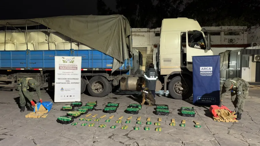 Santiago del Estero: Detectan más de 144 kilos de hojas de coca en un transporte de cargas