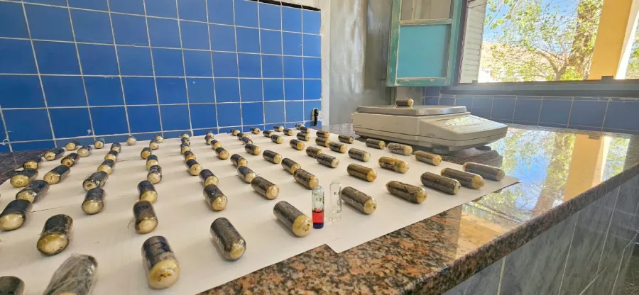 un_ciudadano_de_nacionalidad_boliviana_intento_ingresar_83_capsulas_de_cocaina_bajo_la_modalidad_de_mula_1